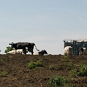 Farm Montville Duchek 6616